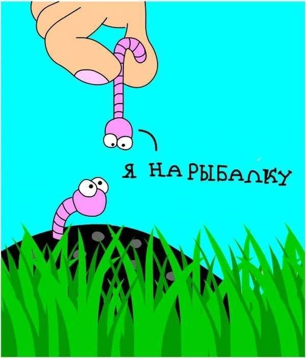 картинка из интернета