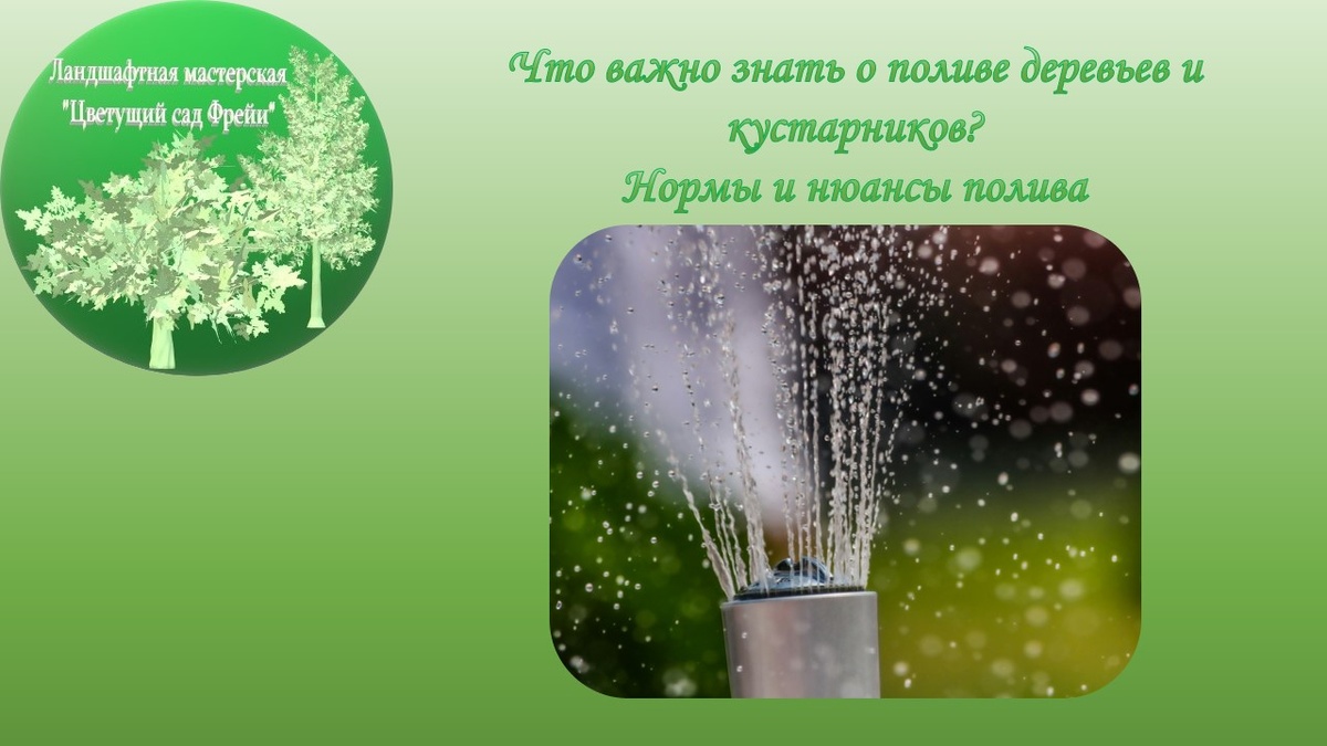 Фото автора с использованием изображения по Лицензии CC0.