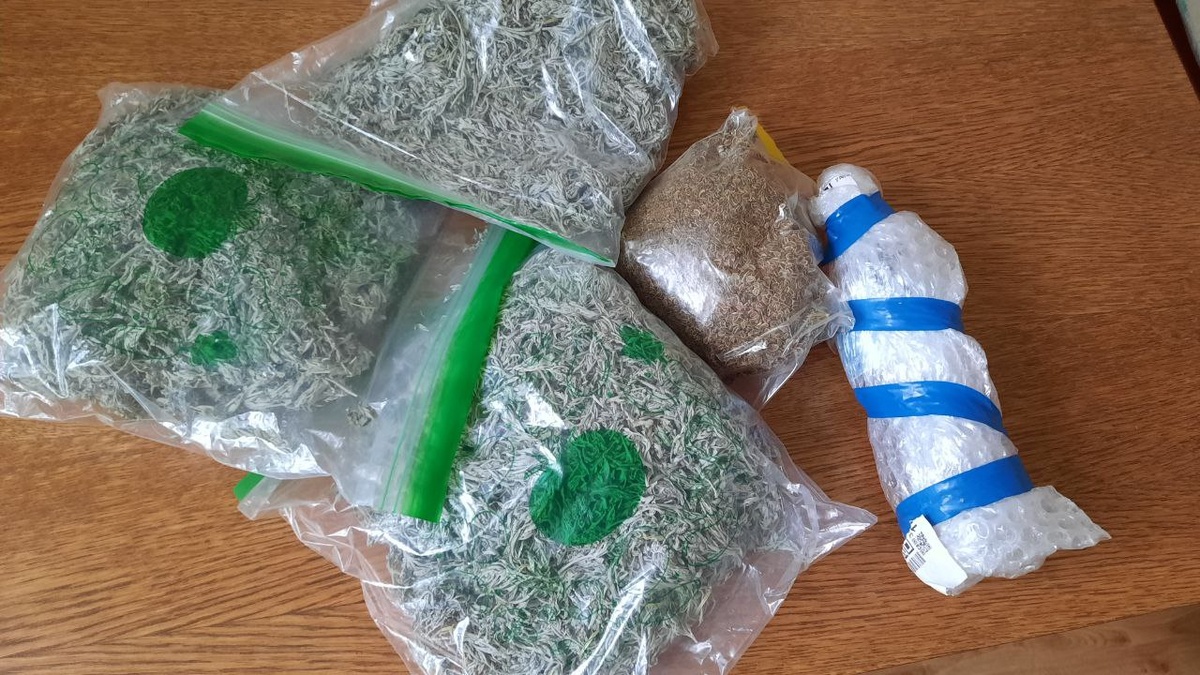 Полынь, семена укропа и мёд 