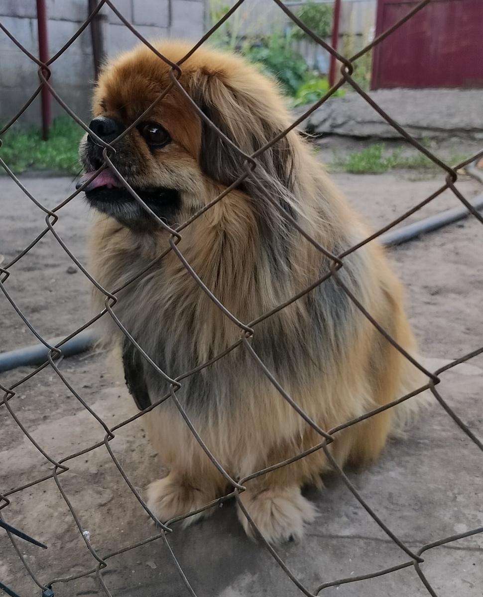 Охрана не дремлет 