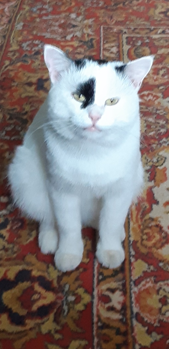 Ну, что, миритесь уже, давайте.