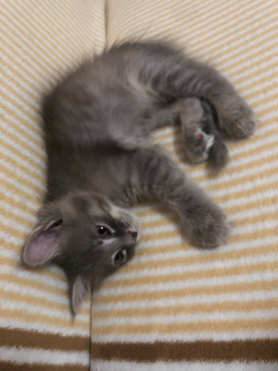 устала от игр))