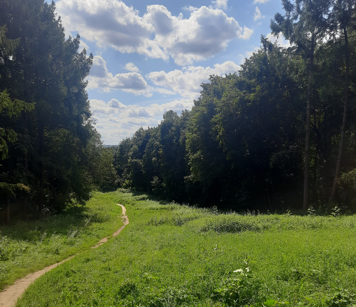 Фото автора блога