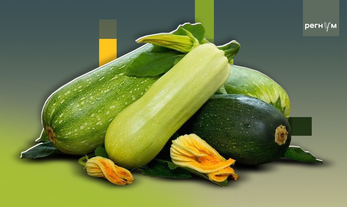     / Источник: Иван Шилов (с) ИА Регнум