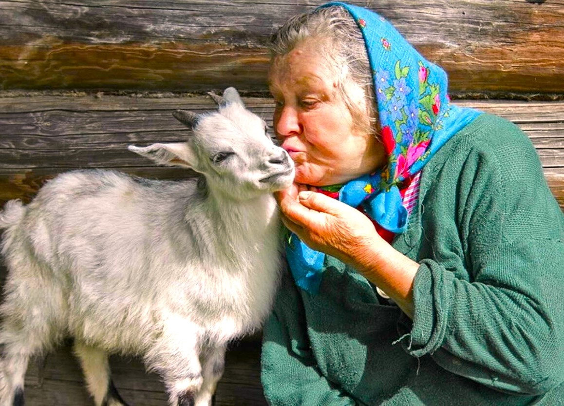 Из свободных источников