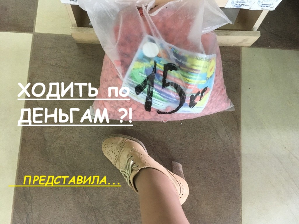 Засыпать клумбу таким щебнем — все равно что обклеивать квартиру деньгами вместо обоев...