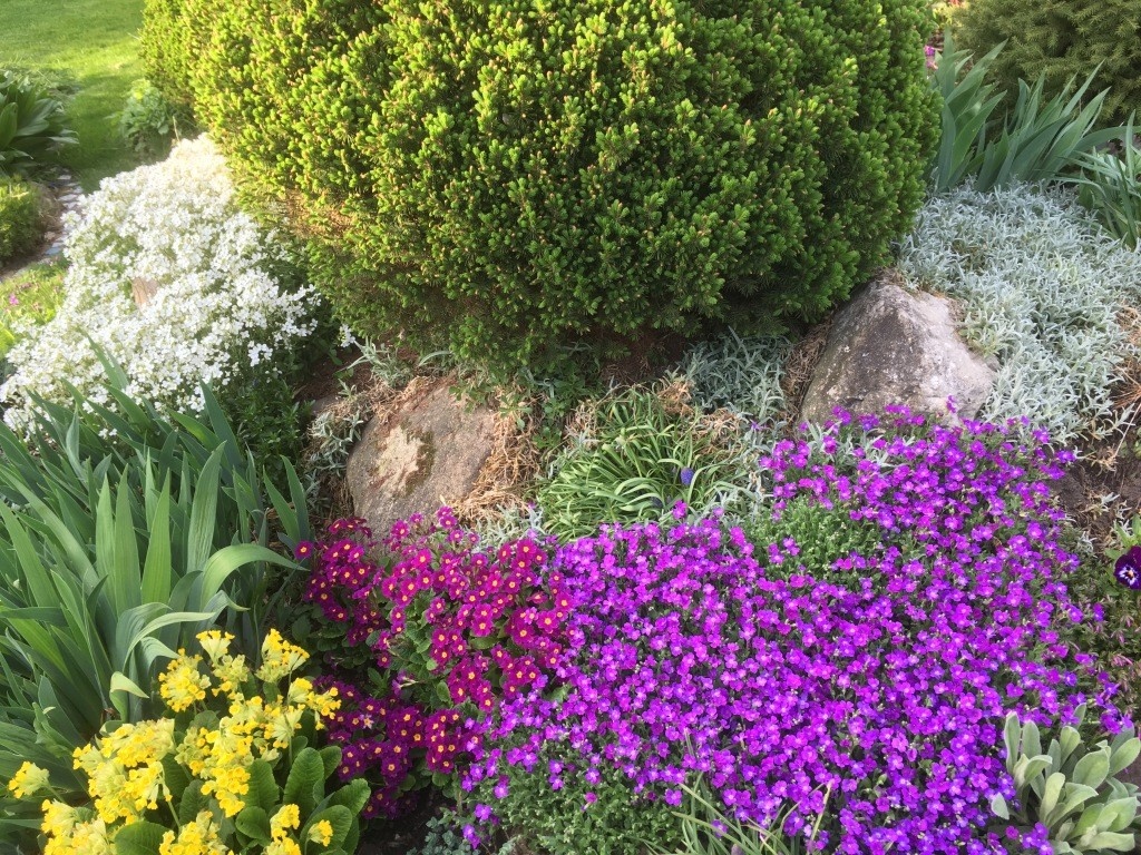 Горка покрыта только растениями...