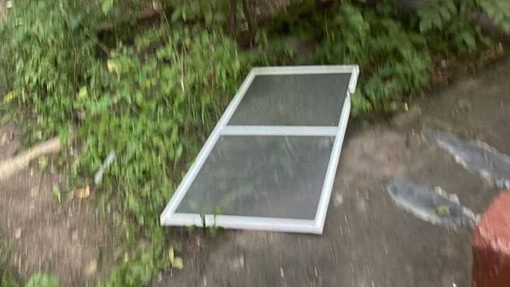  Фото: пресс-служба прокуратуры Москвы