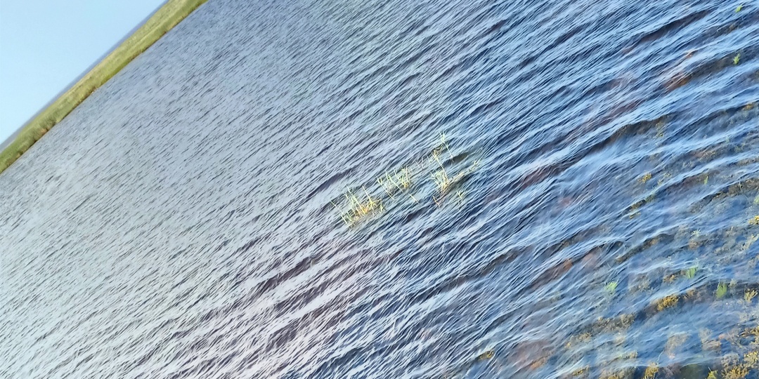 Лето, море и вышивка