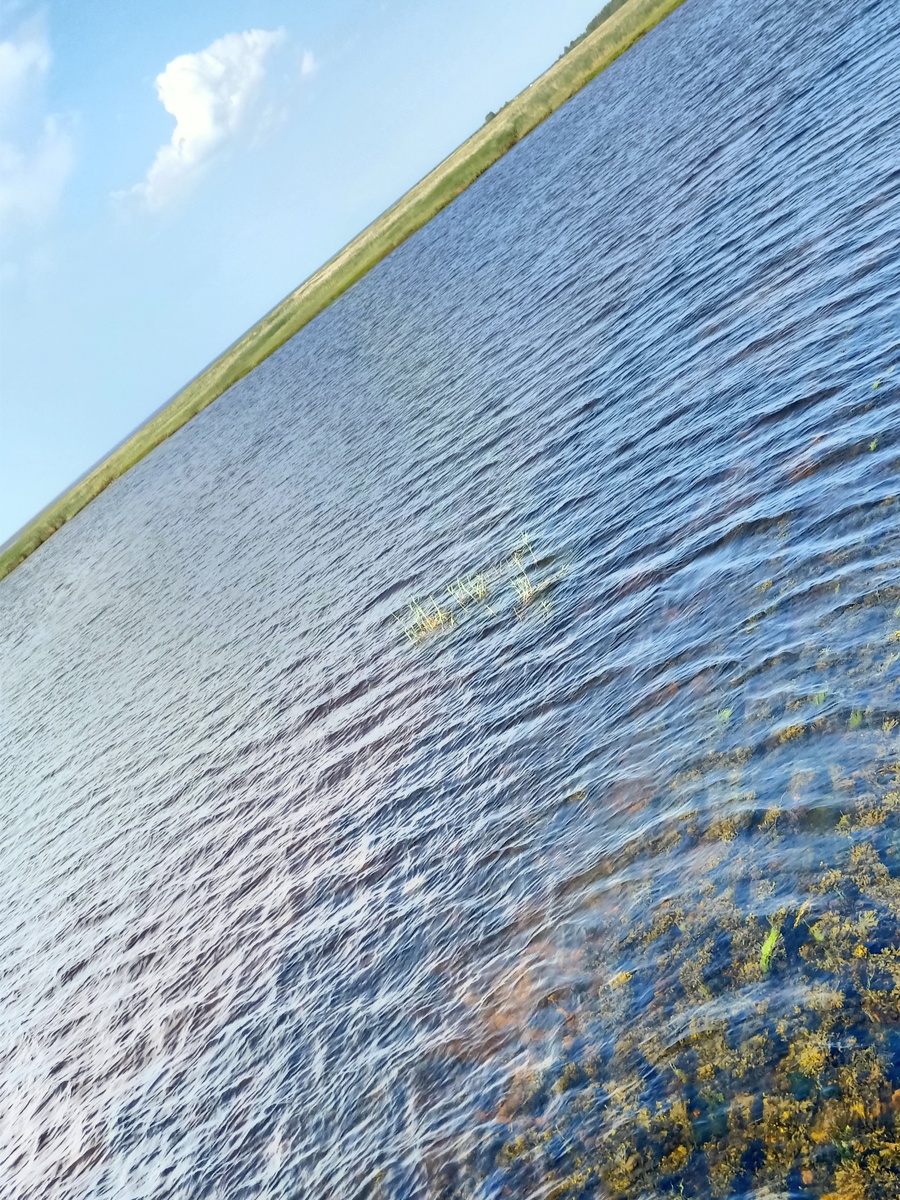 Горизонт очень завален