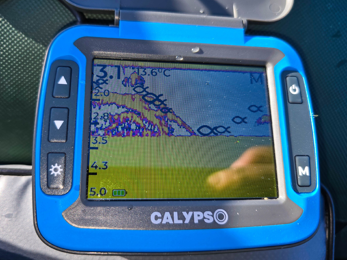 Фото: Давид Яковлев