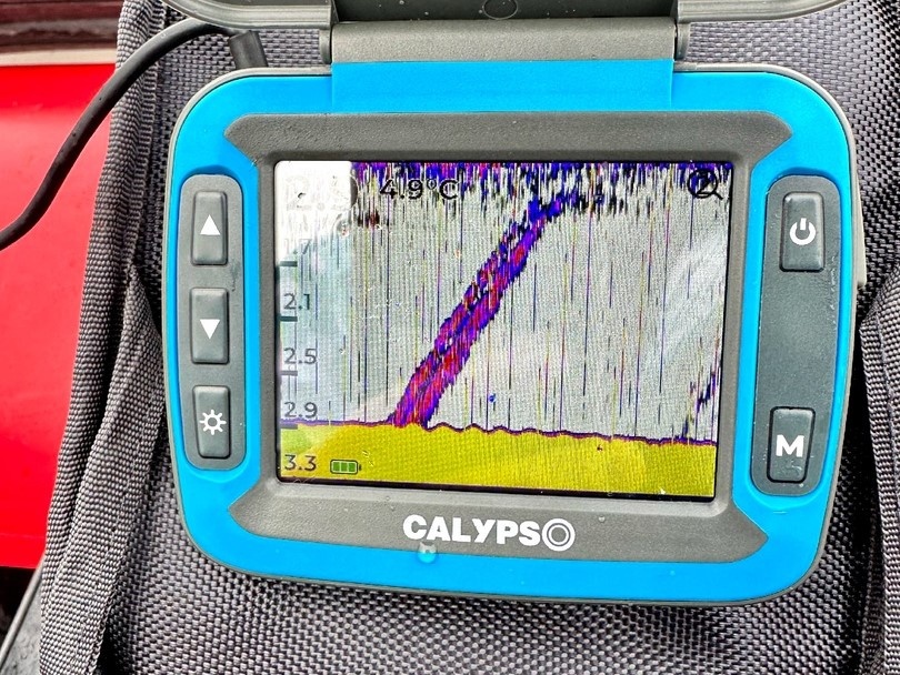 Фото: Владимир Чеплунов