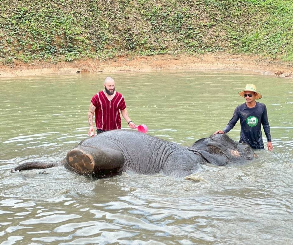 Этический слоновник на Пхукете
