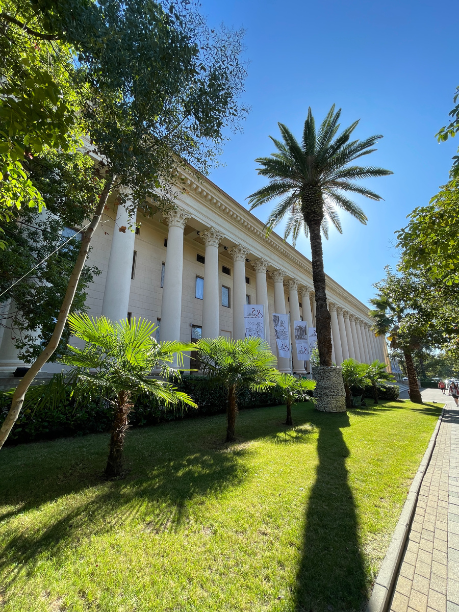 Пальмы в Сочи