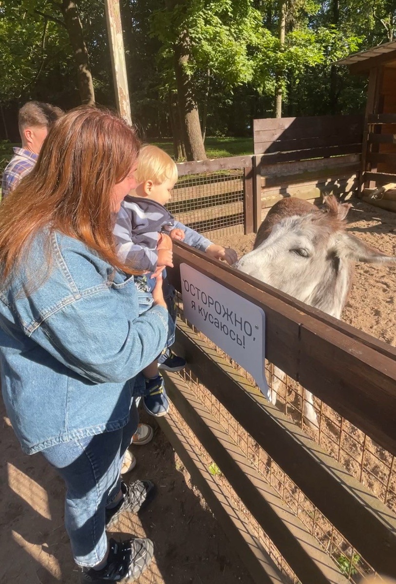 Ослик Максиму "ИААА", а Максим ослику "АИИИ"