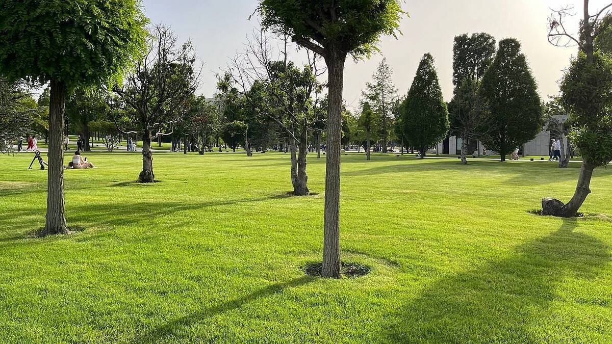    Фото: телеканал «Краснодар»