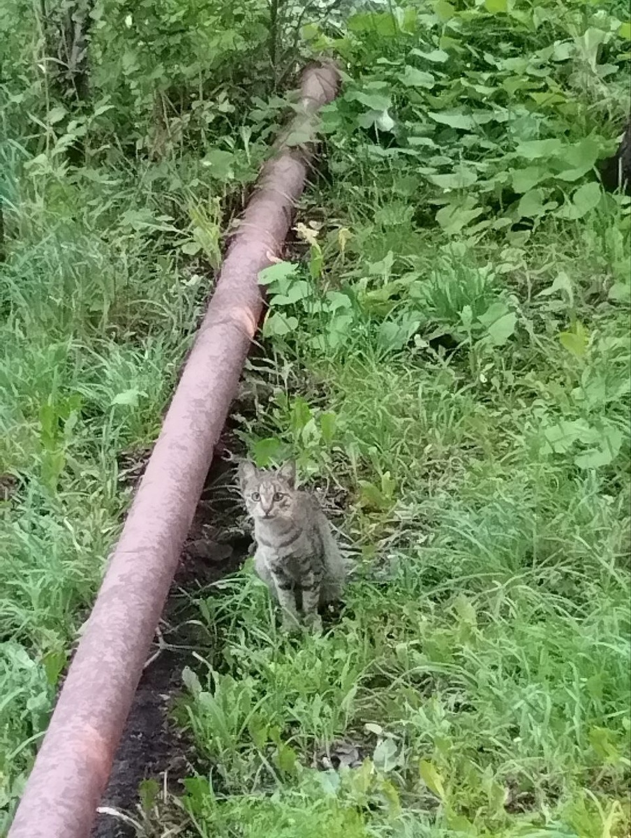 Знала, в чьё окно смотреть....