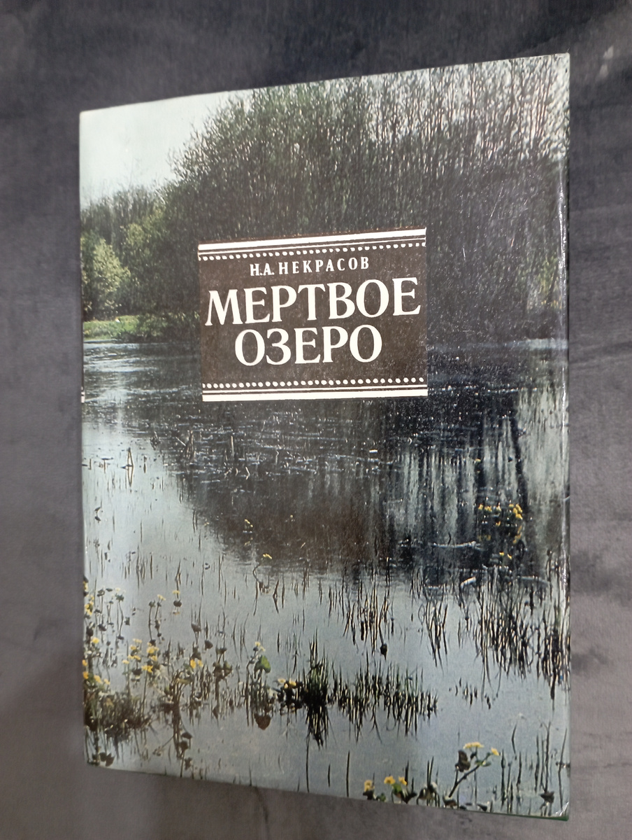 Фото автора. 