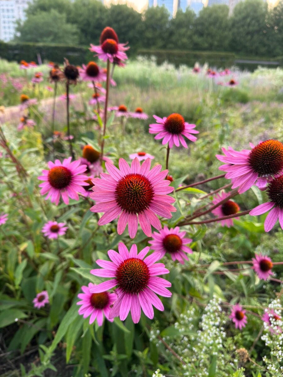 личный архив