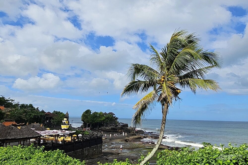    Фото: АиФ/ Георгий Зотов