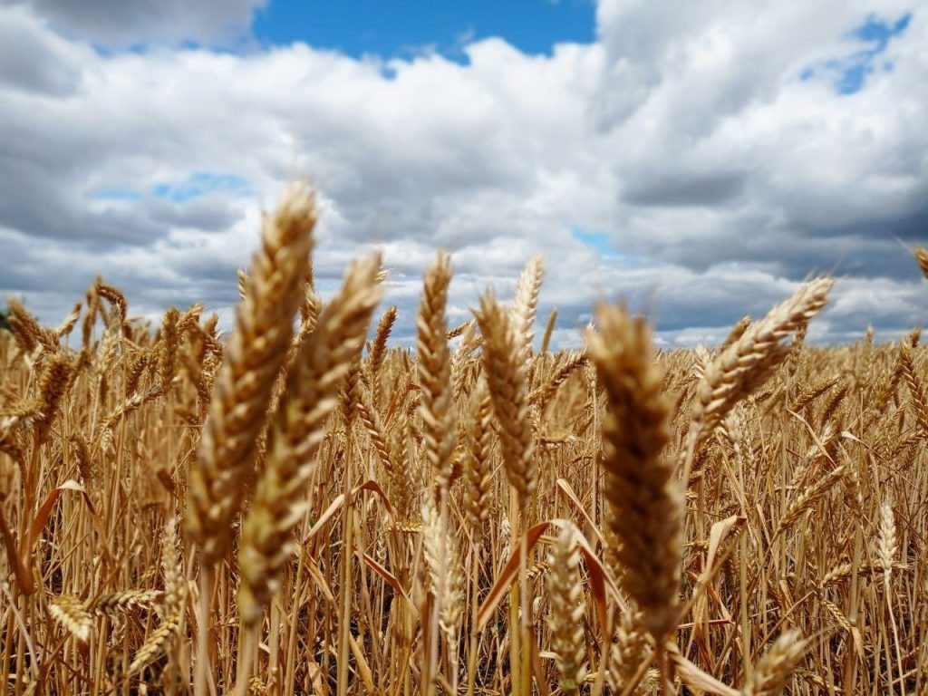   Фото: Л. Казмерова. Галина Ященко