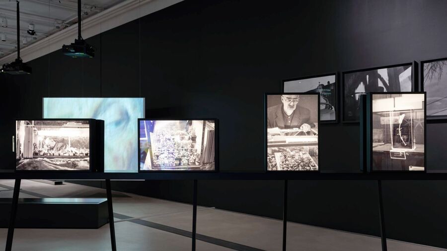 Листайте вправо, чтобы увидеть больше изображений