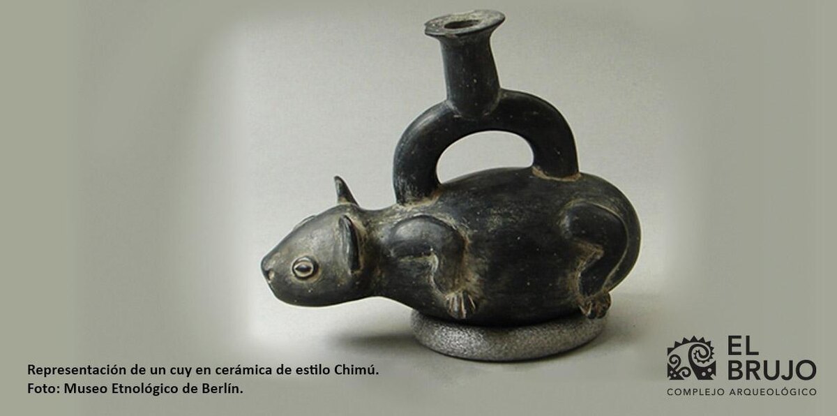 «Индейцы едят это животное вместе с кожей, снимая лишь шерсть, словно с молочного поросёнка, и считают его угощением очень изысканным» (испанский миссионер Бернабе Кобо, 1653 г)