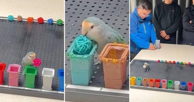    Фото: социальные сети