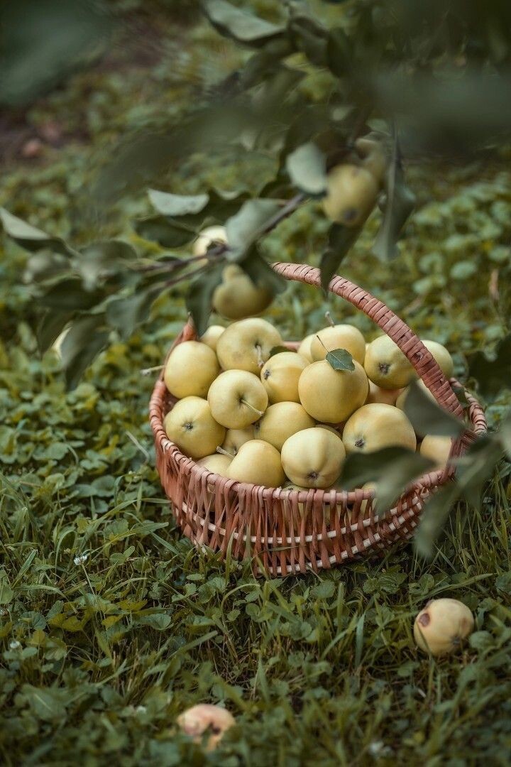 Источник: https://i.pinimg.com/736x/7c/28/66/7c28667c6534ed1e63860a7937f5408c.jpg