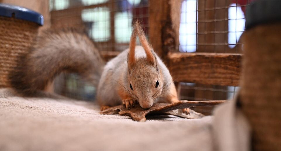    Katharina Kausche/dpa / www.globallookpress.com