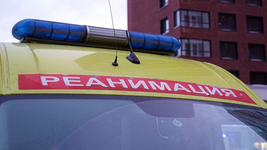    Фото: ИЗВЕСТИЯ/Павел Волков; 5-tv.ru