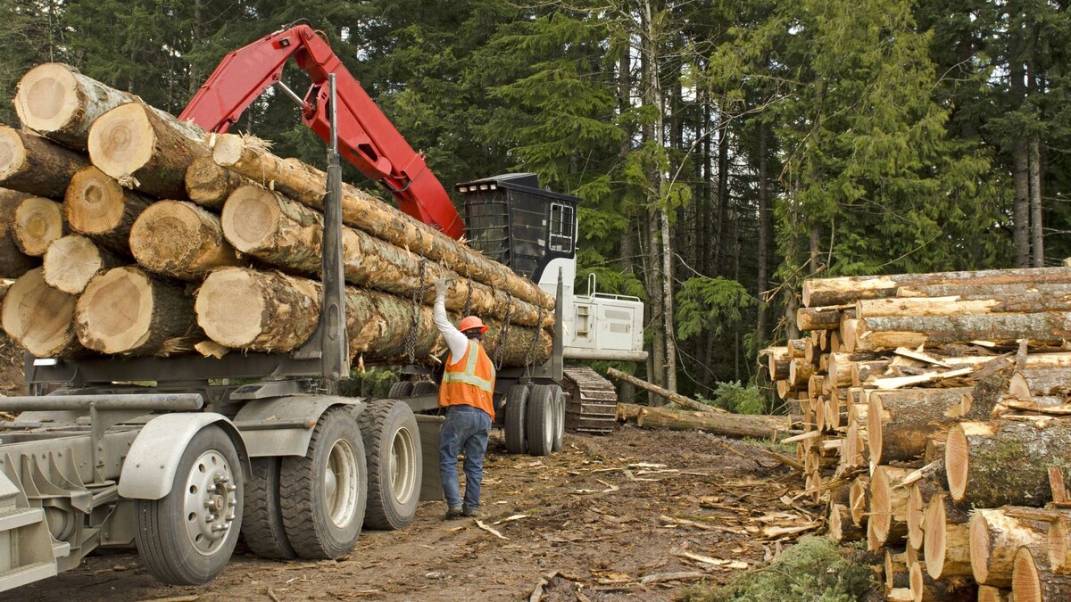    Фото: TFoxFoto/Shutterstock/Fotodom