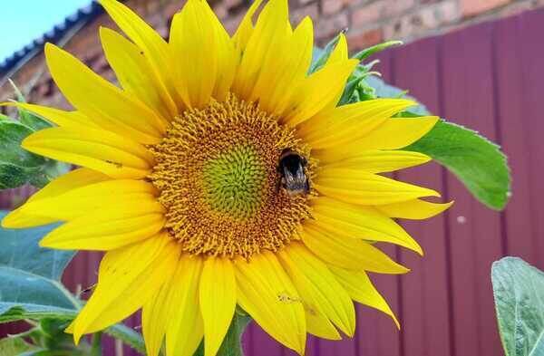   Фото Валерии Стальной. Валерия Стальная