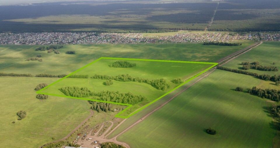    Участок 74,73 га под поселок на ул. Мамонтова во Власихе . Источник: ДОМ.РФ