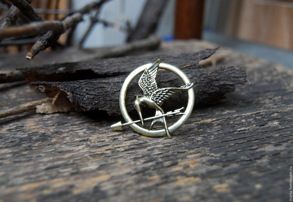 Дизайнер Дана Шнайдер хотела, чтобы брошь выглядела не просто красиво, а символично. Она вдохновлялась реальными амулетами древности и создала стрелу с минималистичным дизайном, которая могла бы стать настоящим символом протеста.