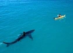    Источник фото: тематическое