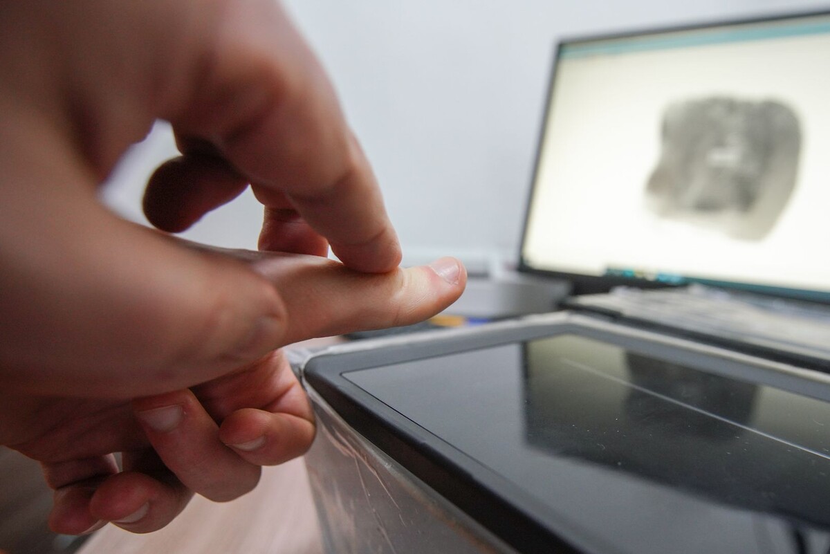     / Источник: © ИЗВЕСТИЯ/Анна Селина