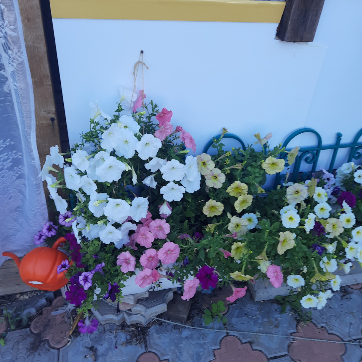 Особенно удался  крайний ящик,  возможно просто в нем посажено больше цветов