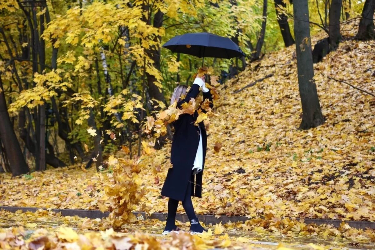    Синоптик Ильин: начало сентября ожидается теплее климатической нормы