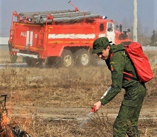    Фото: Комитет лесного хозяйства МО Илья Федоров