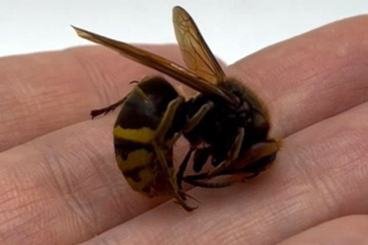    Фото из архива VN.ru