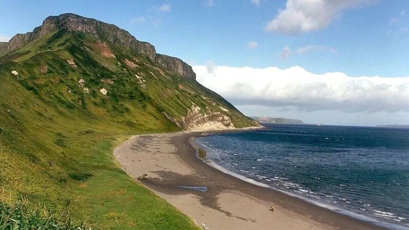    Фото: Anatoly Gruzevich, VNIRO Russia/Wikipedia/Общественное достояние