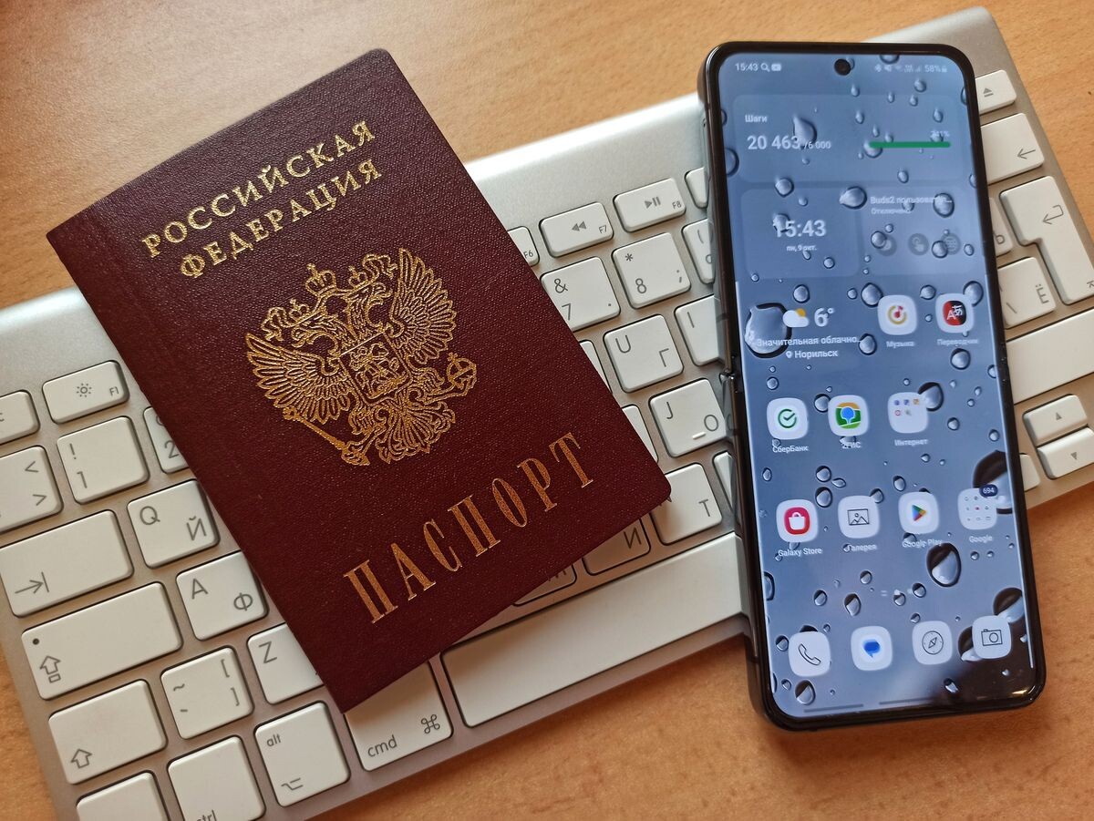 Новый цифровой паспорт в смартфоне вместо бумажного документа 