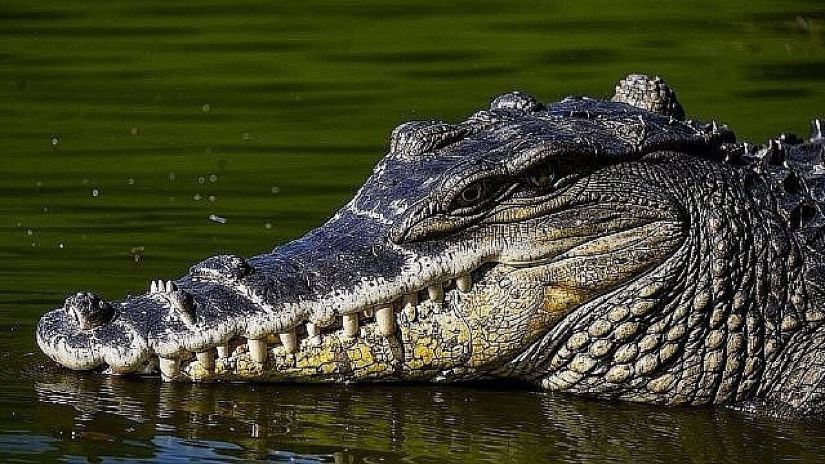    Изображение создано с помощью ИИ.