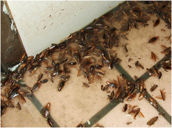 Да уж дела .