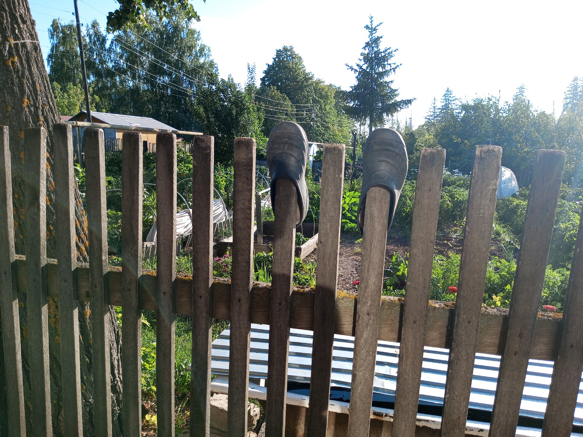 Деревенский пейзаж. Фото автора.