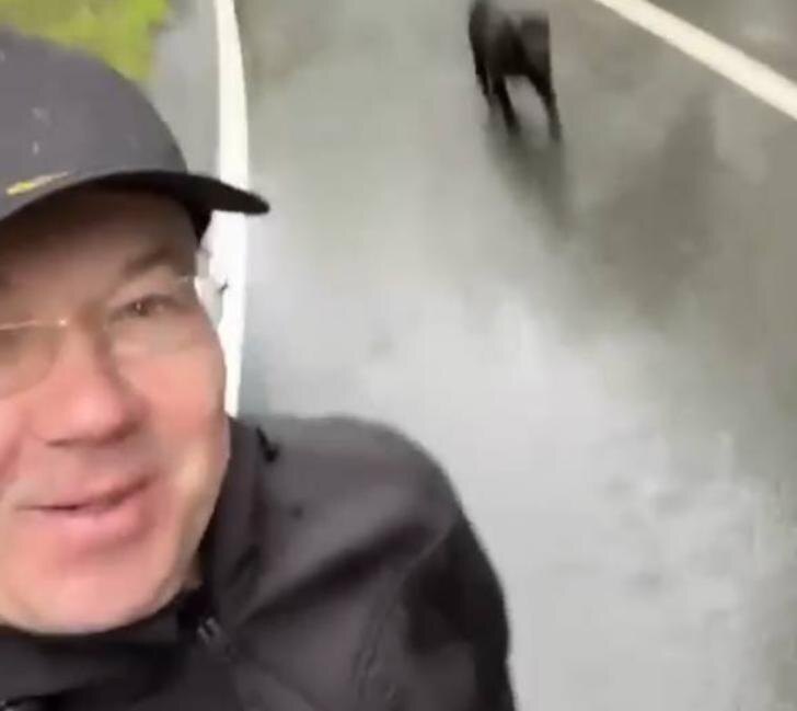    Фото: скриншот с видео