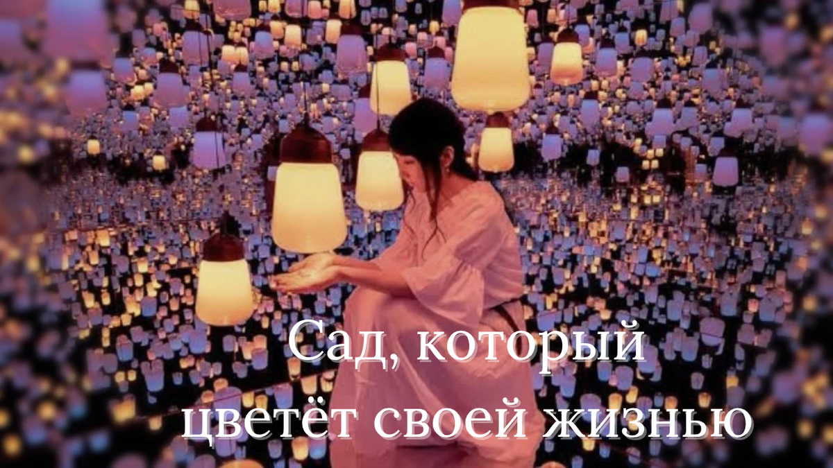 Фото из открытых источников. Войти - значит стать частью сияния.