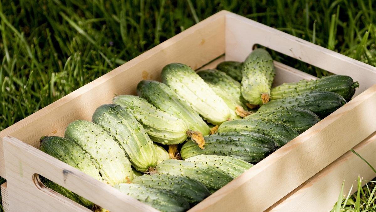 Иллюстрация от freepik на freepik.com