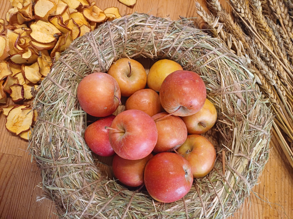 Основа для композиции из скошенной травы. Фото автора